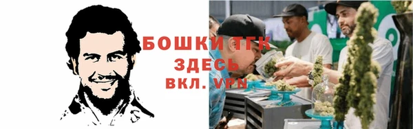 молекула духа Тихвин