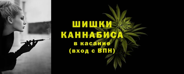 дурь Тобольск