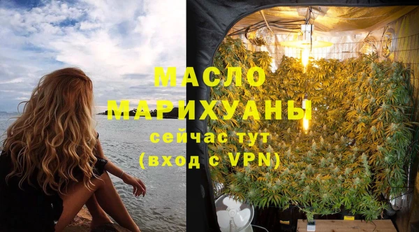 молекула духа Тихвин