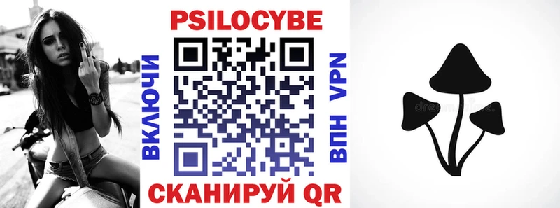 Псилоцибиновые грибы Cubensis Сочи
