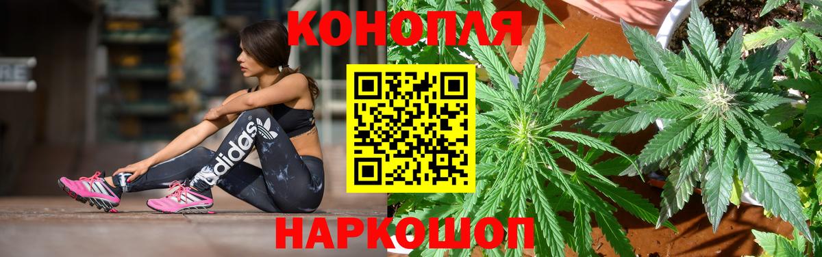 Шишки марихуана планчик Сочи